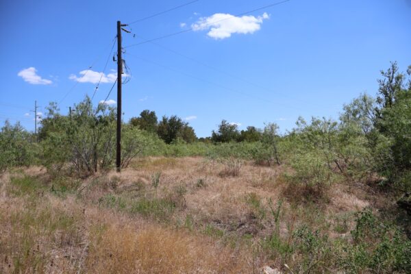 Community IMG1 Community IMG1