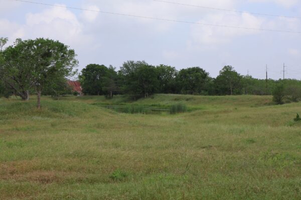 Community IMG10 Community IMG10