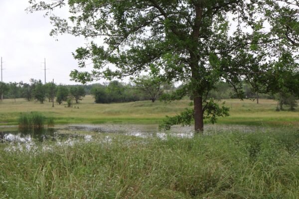 Community IMG11 Community IMG11