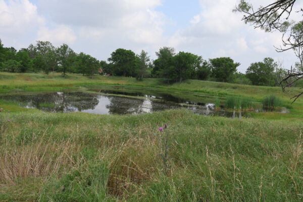 Community IMG14 Community IMG14