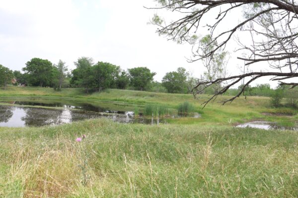 Community IMG15 Community IMG15