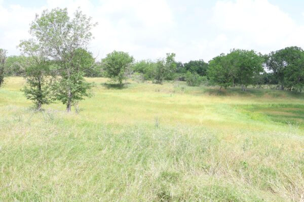 Community IMG16 Community IMG16