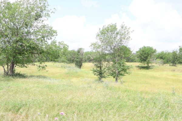 Community IMG17 Community IMG17