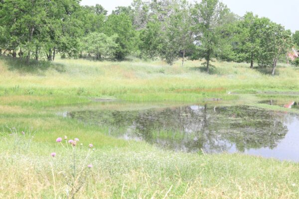 Community IMG18 Community IMG18