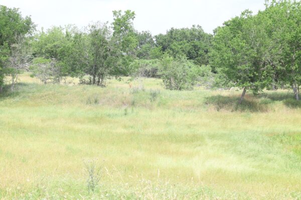 Community IMG19 Community IMG19