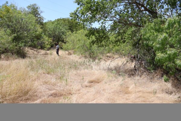 Community IMG2 Community IMG2