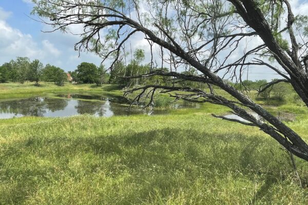 Community IMG21 Community IMG21