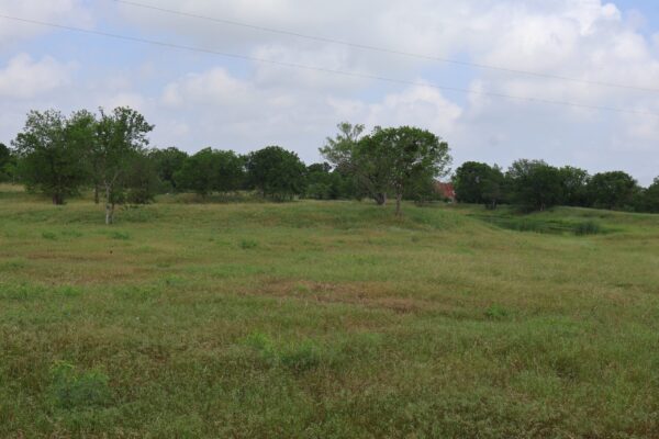 Community IMG7 Community IMG7