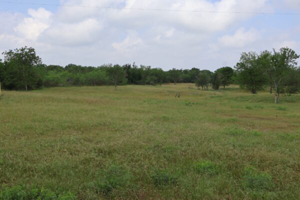 Community IMG8 Community IMG8