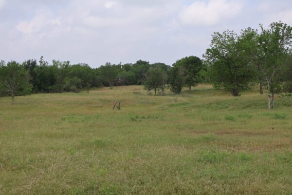 Community IMG9 Community IMG9